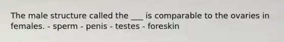 The male structure called the ___ is comparable to the ovaries in females. - sperm - penis - testes - foreskin