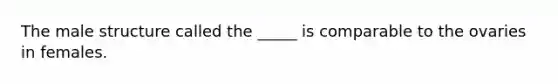 The male structure called the _____ is comparable to the ovaries in females.