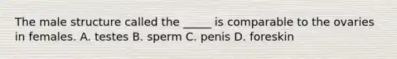 The male structure called the _____ is comparable to the ovaries in females. A. testes B. sperm C. penis D. foreskin