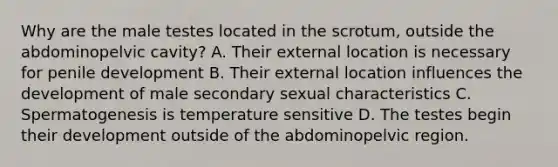 Why are the male testes located in the scrotum, outside the abdominopelvic cavity? A. Their external location is necessary for penile development B. Their external location influences the development of male secondary sexual characteristics C. Spermatogenesis is temperature sensitive D. The testes begin their development outside of the abdominopelvic region.