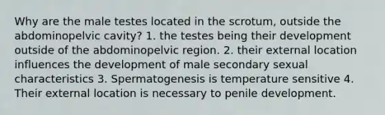 Why are the male testes located in the scrotum, outside the abdominopelvic cavity? 1. the testes being their development outside of the abdominopelvic region. 2. their external location influences the development of male secondary sexual characteristics 3. Spermatogenesis is temperature sensitive 4. Their external location is necessary to penile development.