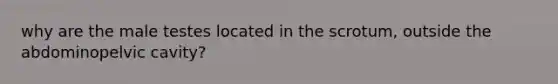 why are the male testes located in the scrotum, outside the abdominopelvic cavity?