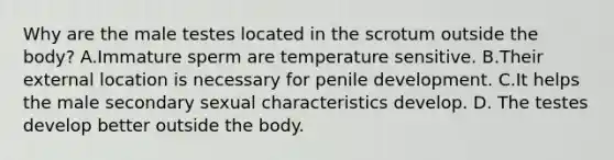 Why are the male testes located in the scrotum outside the body? A.Immature sperm are temperature sensitive. B.Their external location is necessary for penile development. C.It helps the male secondary sexual characteristics develop. D. The testes develop better outside the body.