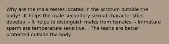 Why are the male testes located in the scrotum outside the body? -It helps the male secondary sexual characteristics develop. - It helps to distinguish males from females. - Immature sperm are temperature sensitive. - The testis are better protected outside the body.