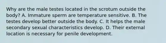 Why are the male testes located in the scrotum outside the body? A. Immature sperm are temperature sensitive. B. The testes develop better outside the body. C. It helps the male secondary sexual characteristics develop. D. Their external location is necessary for penile development.