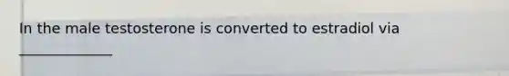 In the male testosterone is converted to estradiol via _____________