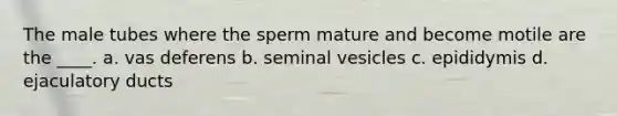 The male tubes where the sperm mature and become motile are the ____. a. vas deferens b. seminal vesicles c. epididymis d. ejaculatory ducts