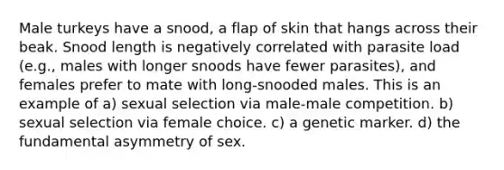 Male turkeys have a snood, a flap of skin that hangs across their beak. Snood length is negatively correlated with parasite load (e.g., males with longer snoods have fewer parasites), and females prefer to mate with long-snooded males. This is an example of a) sexual selection via male-male competition. b) sexual selection via female choice. c) a genetic marker. d) the fundamental asymmetry of sex.