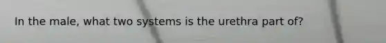 In the male, what two systems is the urethra part of?