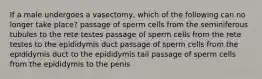 If a male undergoes a vasectomy, which of the following can no longer take place? passage of sperm cells from the seminiferous tubules to the rete testes passage of sperm cells from the rete testes to the epididymis duct passage of sperm cells from the epididymis duct to the epididymis tail passage of sperm cells from the epididymis to the penis