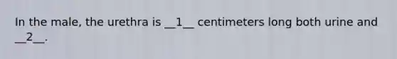 In the male, the urethra is __1__ centimeters long both urine and __2__.