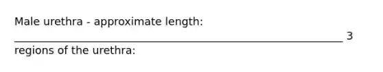 Male urethra - approximate length: _____________________________________________________________ 3 regions of the urethra: