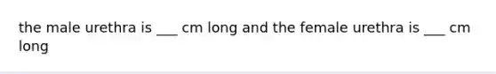 the male urethra is ___ cm long and the female urethra is ___ cm long