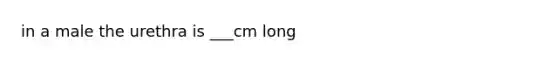 in a male the urethra is ___cm long