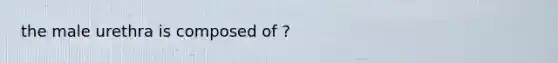 the male urethra is composed of ?