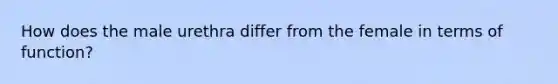 How does the male urethra differ from the female in terms of function?