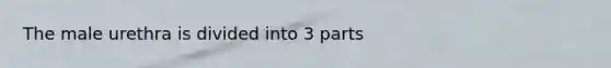 The male urethra is divided into 3 parts