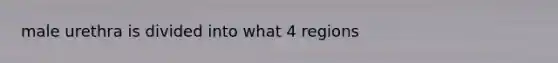 male urethra is divided into what 4 regions