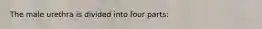 The male urethra is divided into four parts: