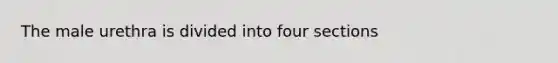 The male urethra is divided into four sections
