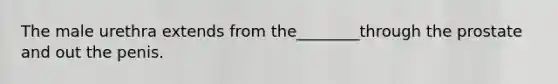 The male urethra extends from the________through the prostate and out the penis.