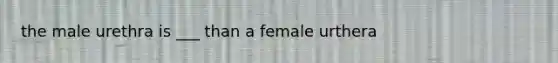 the male urethra is ___ than a female urthera