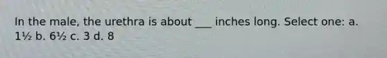 In the male, the urethra is about ___ inches long. Select one: a. 1½ b. 6½ c. 3 d. 8