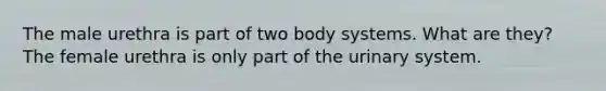 The male urethra is part of two body systems. What are they? The female urethra is only part of the urinary system.