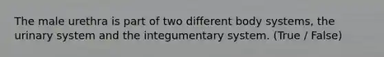 The male urethra is part of two different body systems, the urinary system and the integumentary system. (True / False)