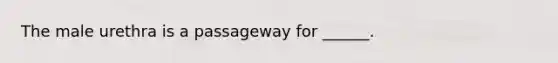 The male urethra is a passageway for ______.