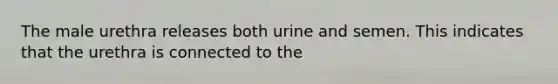 The male urethra releases both urine and semen. This indicates that the urethra is connected to the