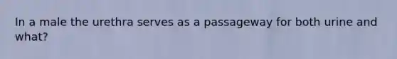 In a male the urethra serves as a passageway for both urine and what?