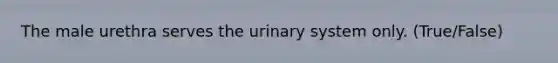 The male urethra serves the urinary system only. (True/False)