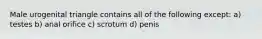 Male urogenital triangle contains all of the following except: a) testes b) anal orifice c) scrotum d) penis
