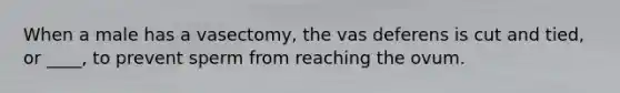 When a male has a vasectomy, the vas deferens is cut and tied, or ____, to prevent sperm from reaching the ovum.