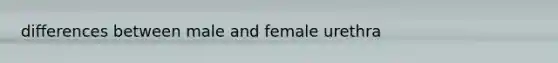 differences between male and female urethra