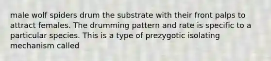 male wolf spiders drum the substrate with their front palps to attract females. The drumming pattern and rate is specific to a particular species. This is a type of prezygotic isolating mechanism called