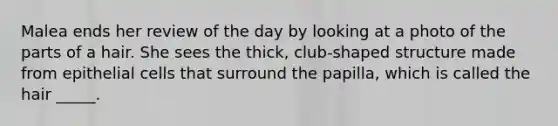 Malea ends her review of the day by looking at a photo of the parts of a hair. She sees the thick, club-shaped structure made from epithelial cells that surround the papilla, which is called the hair _____.