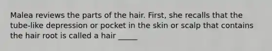 Malea reviews the parts of the hair. First, she recalls that the tube-like depression or pocket in the skin or scalp that contains the hair root is called a hair _____