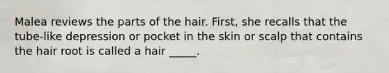 Malea reviews the parts of the hair. First, she recalls that the tube-like depression or pocket in the skin or scalp that contains the hair root is called a hair _____.