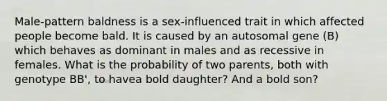 Male-pattern baldness is a sex-influenced trait in which affected people become bald. It is caused by an autosomal gene (B) which behaves as dominant in males and as recessive in females. What is the probability of two parents, both with genotype BB', to havea bold daughter? And a bold son?