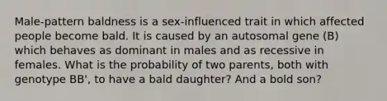 Male-pattern baldness is a sex-influenced trait in which affected people become bald. It is caused by an autosomal gene (B) which behaves as dominant in males and as recessive in females. What is the probability of two parents, both with genotype BB', to have a bald daughter? And a bold son?