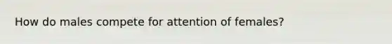 How do males compete for attention of females?