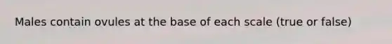 Males contain ovules at the base of each scale (true or false)