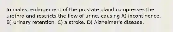 In males, enlargement of the prostate gland compresses the urethra and restricts the flow of urine, causing A) incontinence. B) urinary retention. C) a stroke. D) Alzheimer's disease.