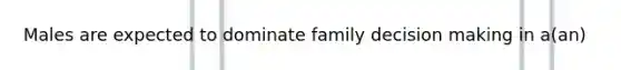 Males are expected to dominate family decision making in a(an)