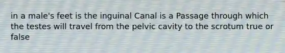 in a male's feet is the inguinal Canal is a Passage through which the testes will travel from the pelvic cavity to the scrotum true or false