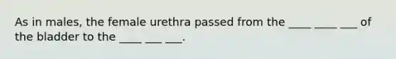 As in males, the female urethra passed from the ____ ____ ___ of the bladder to the ____ ___ ___.