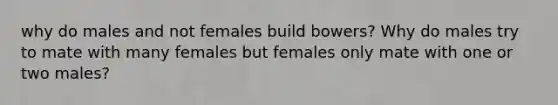 why do males and not females build bowers? Why do males try to mate with many females but females only mate with one or two males?