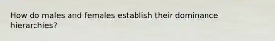 How do males and females establish their dominance hierarchies?